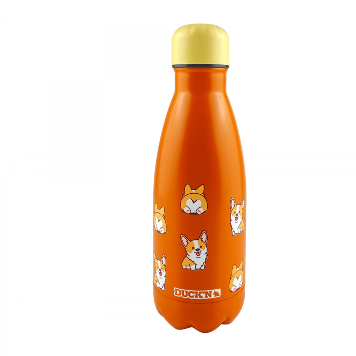 Bouteille isotherme enfant design Chiens, HAPPY BOTTLE