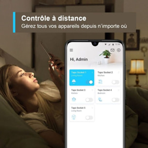 Prise connectée TP-LINK Tapo P100 Wifi