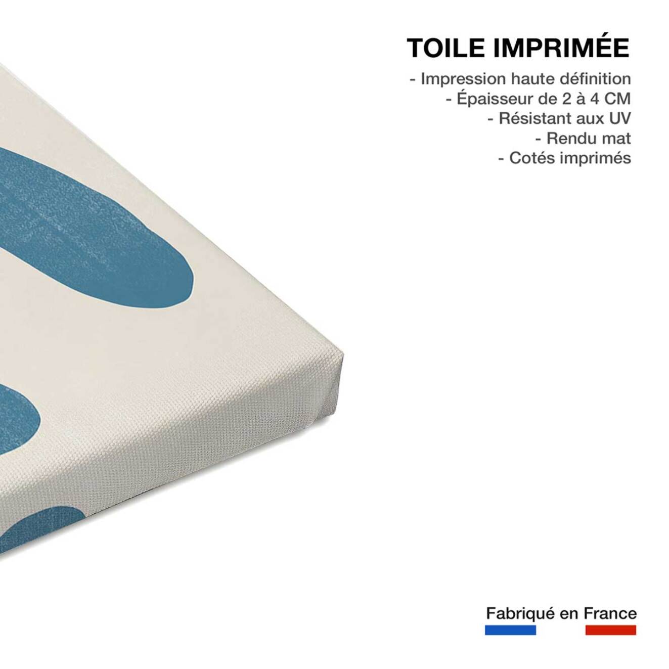 Tableau de fleurs plante moderne  Toile imprimée