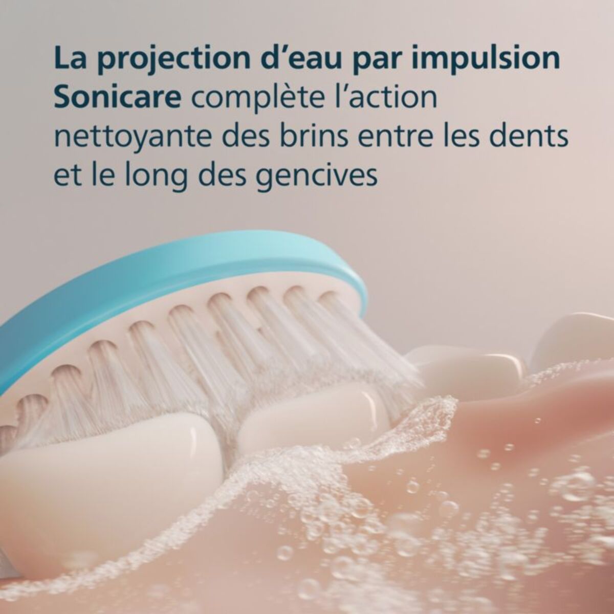 Brossette dentaire PHILIPS Sonicare x2 tete de brosse HX6042/90