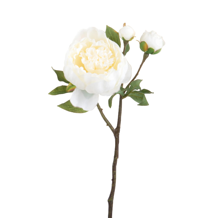 Peonia Romance Con 3 Fiori. Altezza 49 Cm - Pezzi 6 - 19X49X9cm - Colore: Ivory - Bianchi Dino - Fiori Artificiali