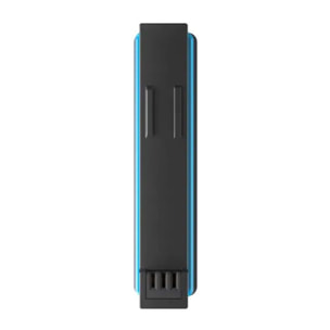 Batterie caméra INSTA360 ONE X3 Batterie