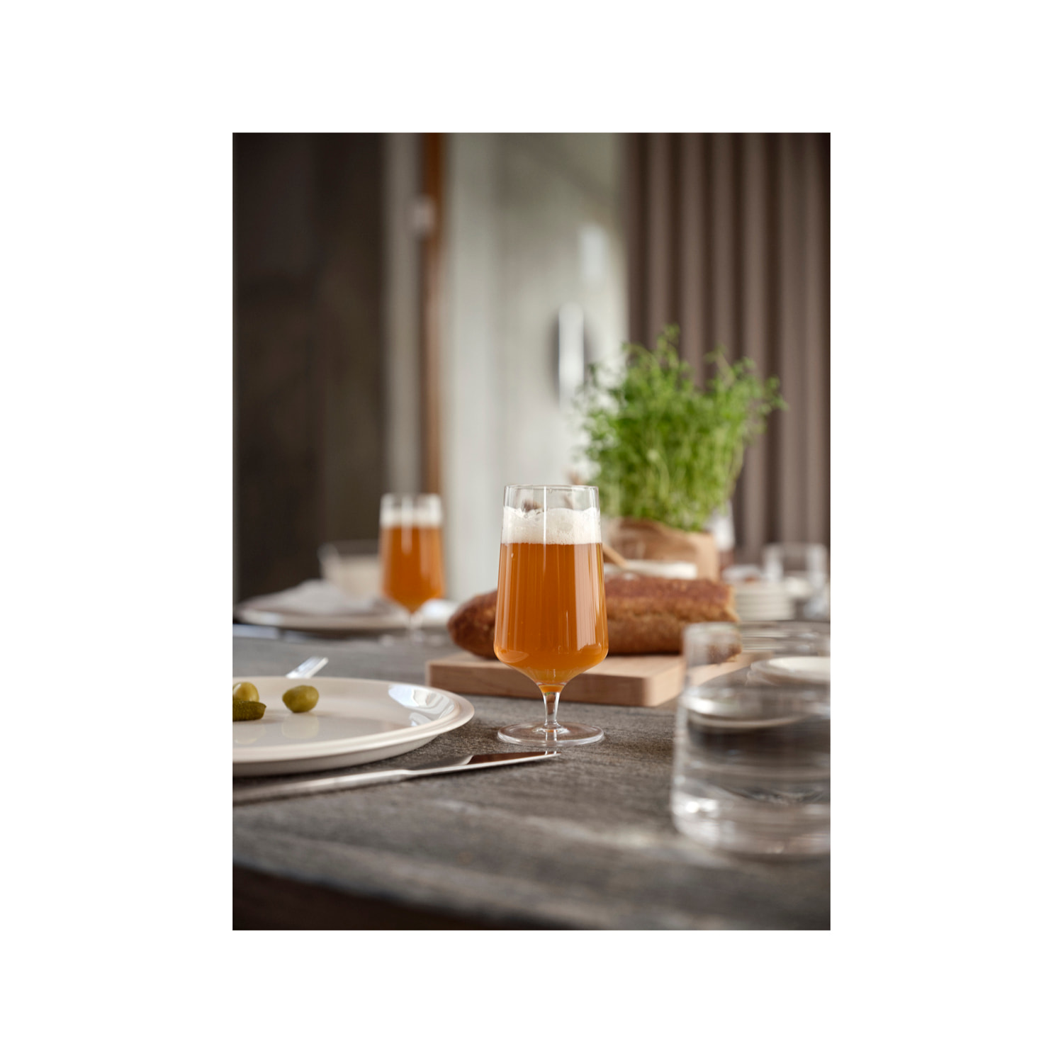 Verre de bière Rocks