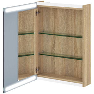Armoire murale salle de bain  1 porte miroir lumineux LED intégré 50 x 70 cm 2 étagères verre effet bois