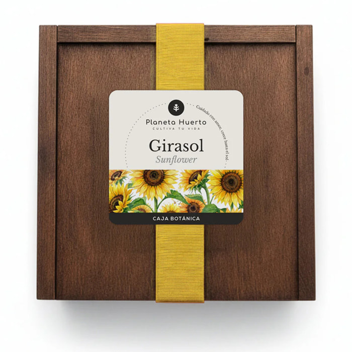 Kit de Cultivo de Girasol en Caja de Madera – Regalo Original Planeta Huerto