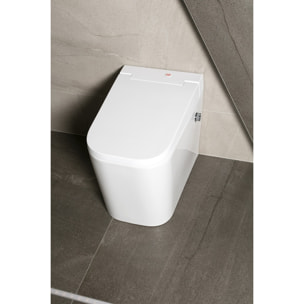 OptimFlush WC hybride avec réservoir intégré et abattant frein de chute (SATOFSHFS2)