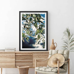 Poster kalamata, olivier grec Affiche + cadre en bois - Noir