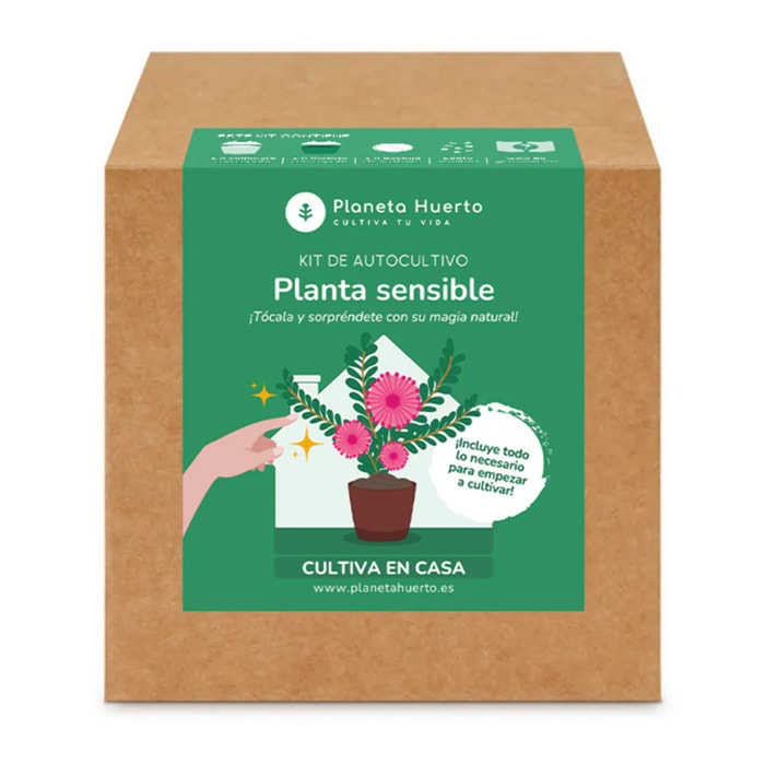 Kit de autocultivo Mimosa Sensitiva Planta Sensible Planeta Huerto
