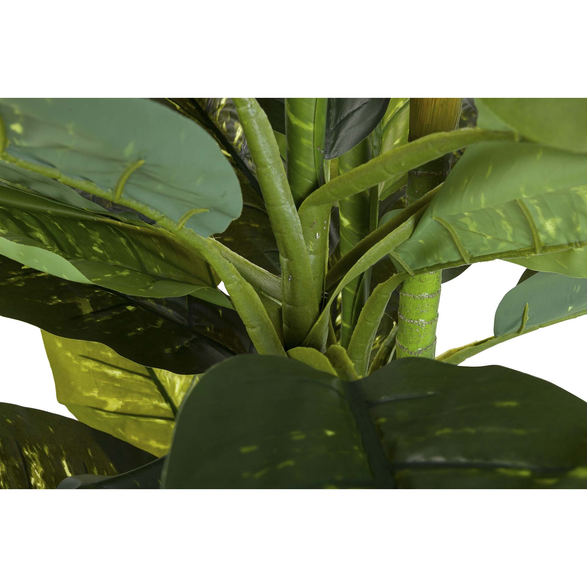 Planta Artificial Dieffenbachia Amoena Con Maceta 70x70x160cm