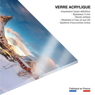 Tableau paysage Reine des Glaces Tableau plexiglas