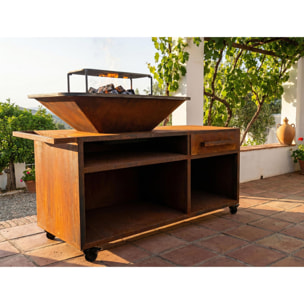 Grand barbecue avec armoire et plaque de cuisson en acier