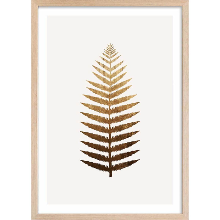 Affiche fleurs Fougere d'or Affiche + cadre en bois - Chêne