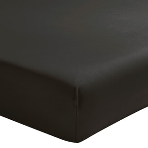 Drap housse uni en percale de coton, bonnet de 30cm, PREMIÈRE, Gris Anthracite