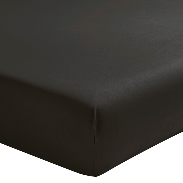 Drap housse uni en percale de coton, bonnet de 30cm, PREMIÈRE, Gris Anthracite