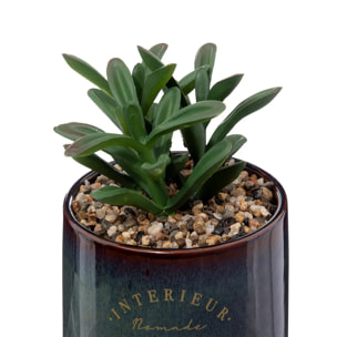 Plante artificielle "Bota" noir H10cm