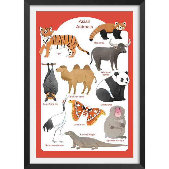 Affiche enfant animaux d' asie  Affiche sous cadre noir