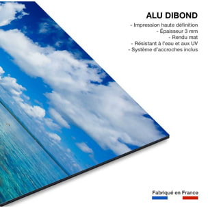 Tableau mer tropical island  Tableau alu Dibond