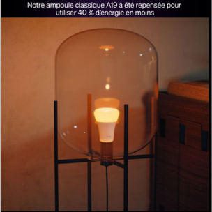 Ampoule LED connectée PHILIPS HUE E27 White&Color Ambiance pack de 2