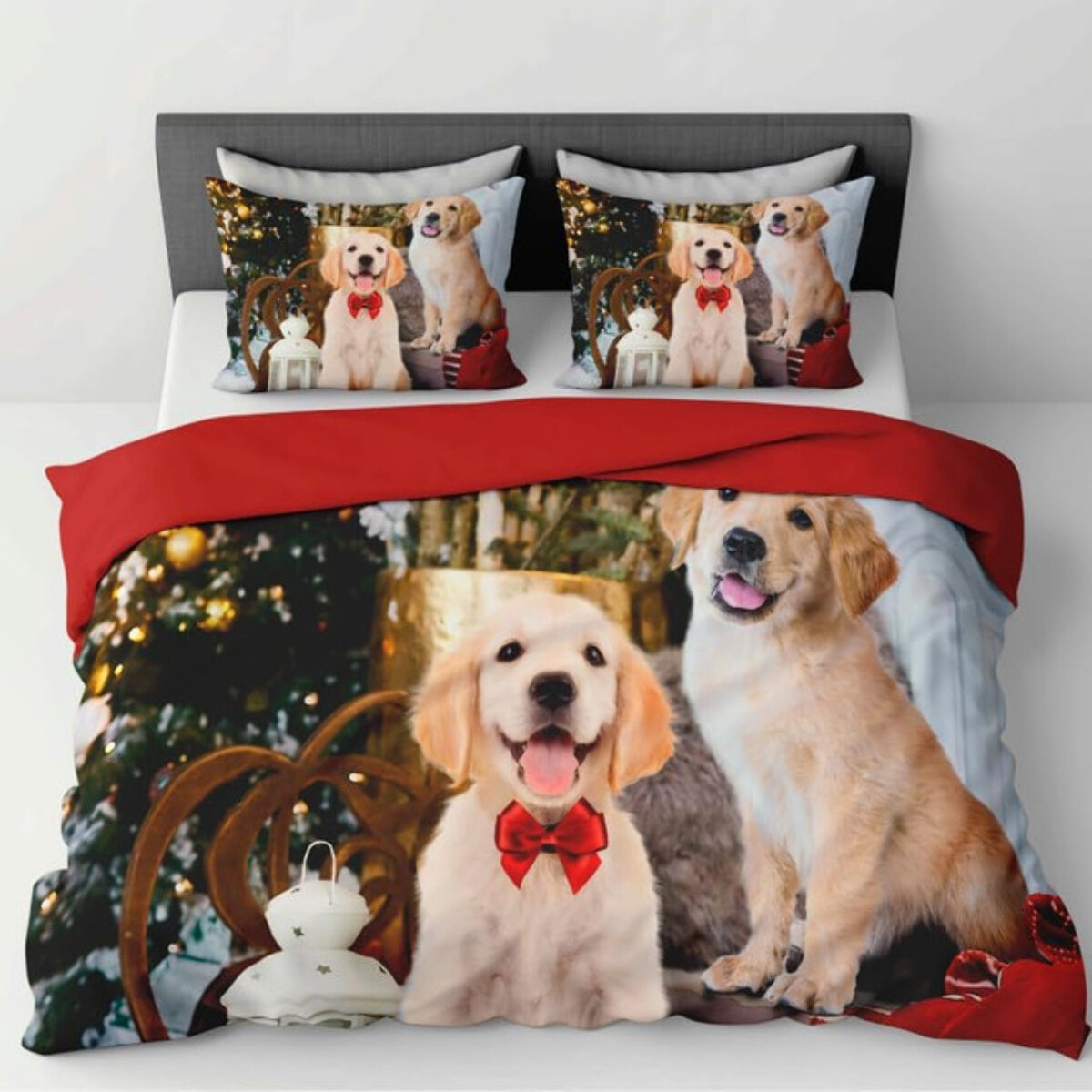 Parure Copripiumino in 100% Cotone con Federe Coordinate, Morbida e Traspirante, Certificata OEKO-TEX, Fantasie Moderne per Camera da Letto