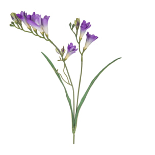 Fresia Composta Da 2 Fiori. Altezza 58 Cm - Pezzi 12 - 10X69X3cm - Colore: Viola - Bianchi Dino - Fiori Artificiali