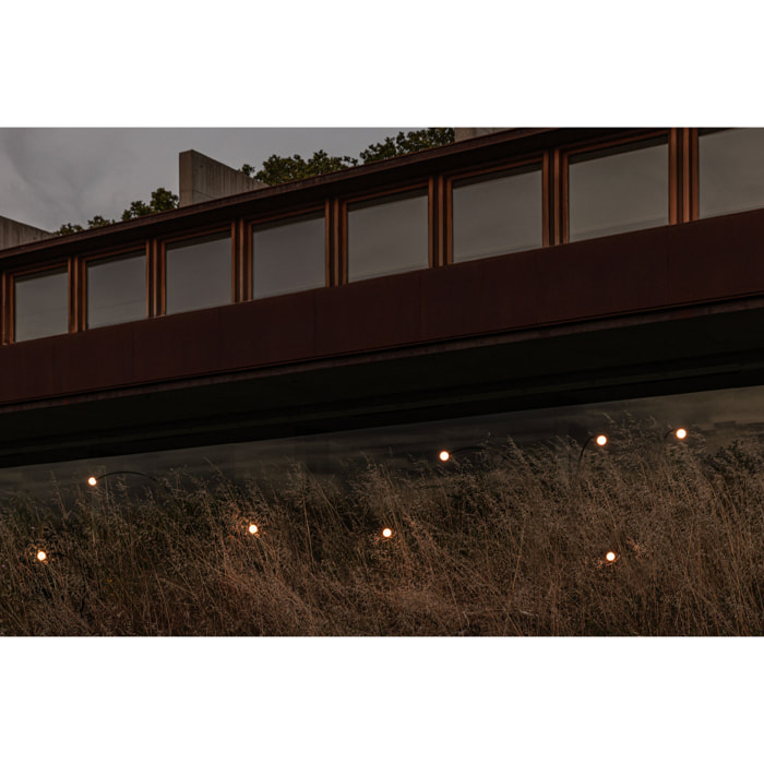 CUCA 1193 Estaca negra