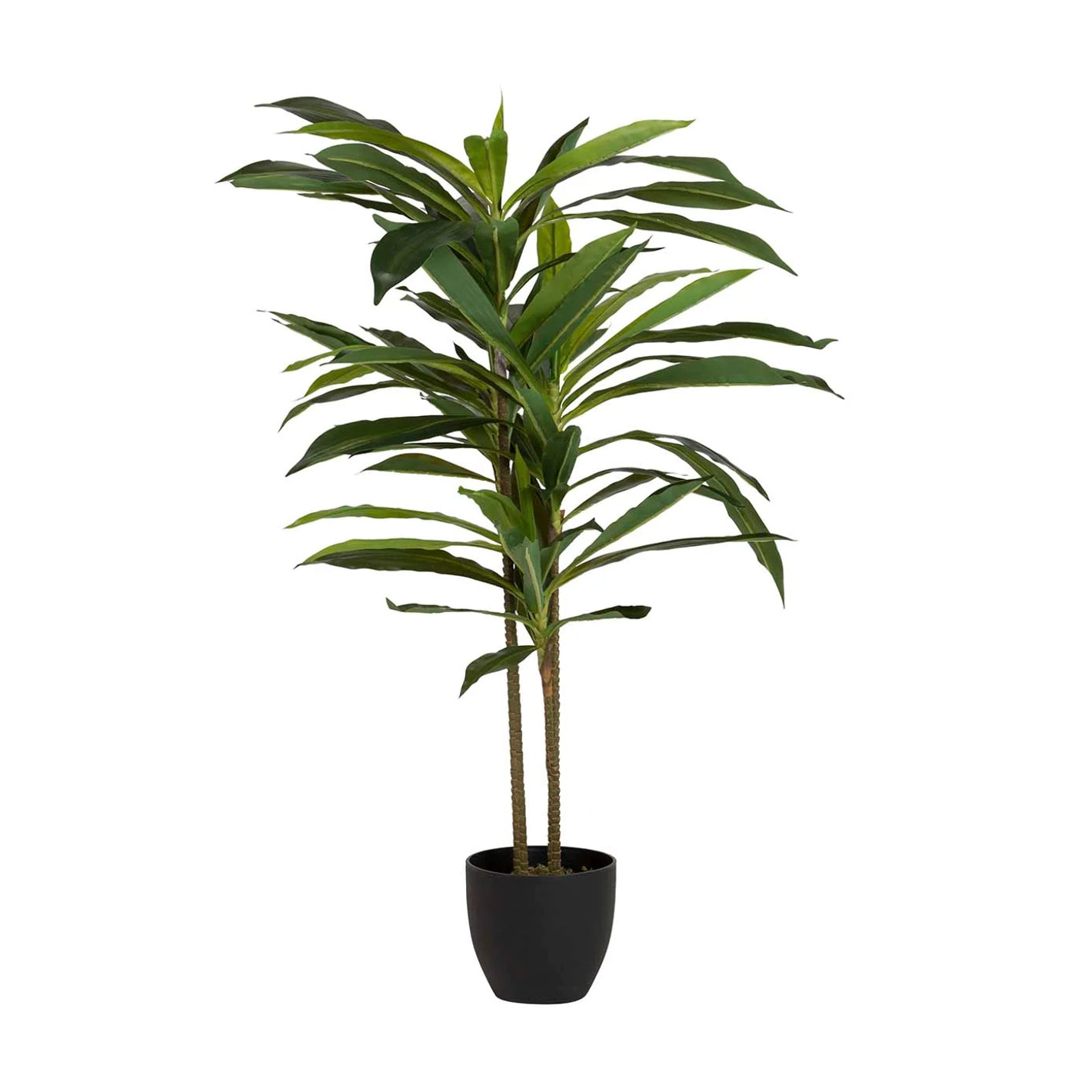 Planta Artificial Dracaena Fragrans Con Maceta 55x55x100 Cm