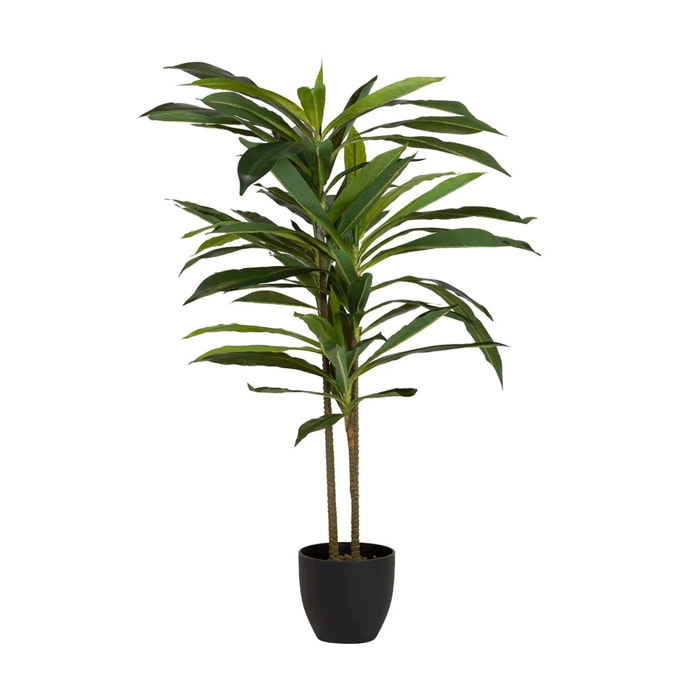 Planta Artificial Dracaena Fragrans Con Maceta 55x55x100 Cm