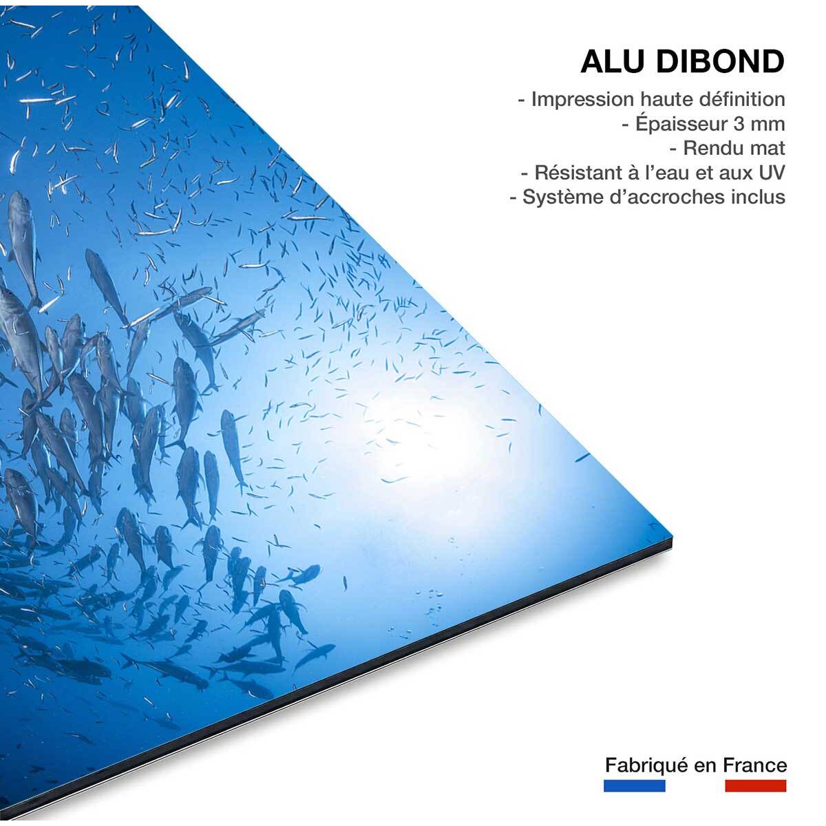 Tableau poisson Carangue Tableau alu Dibond