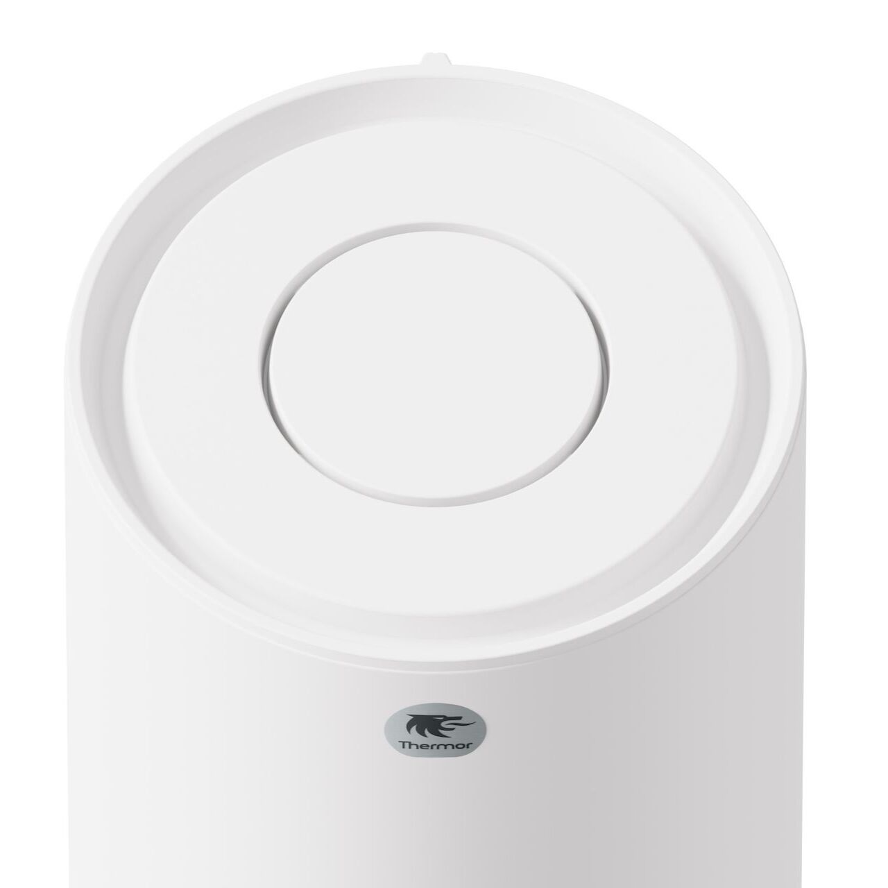 Chauffe-eau électrique Duralis ACI Hybride 300 L vertical stable - THERMOR - 292077