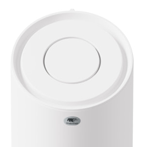 Chauffe-eau électrique Duralis ACI Hybride 300 L vertical stable - THERMOR - 292077