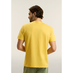 T-shirt in cotone a manica corta con logo FREDDY