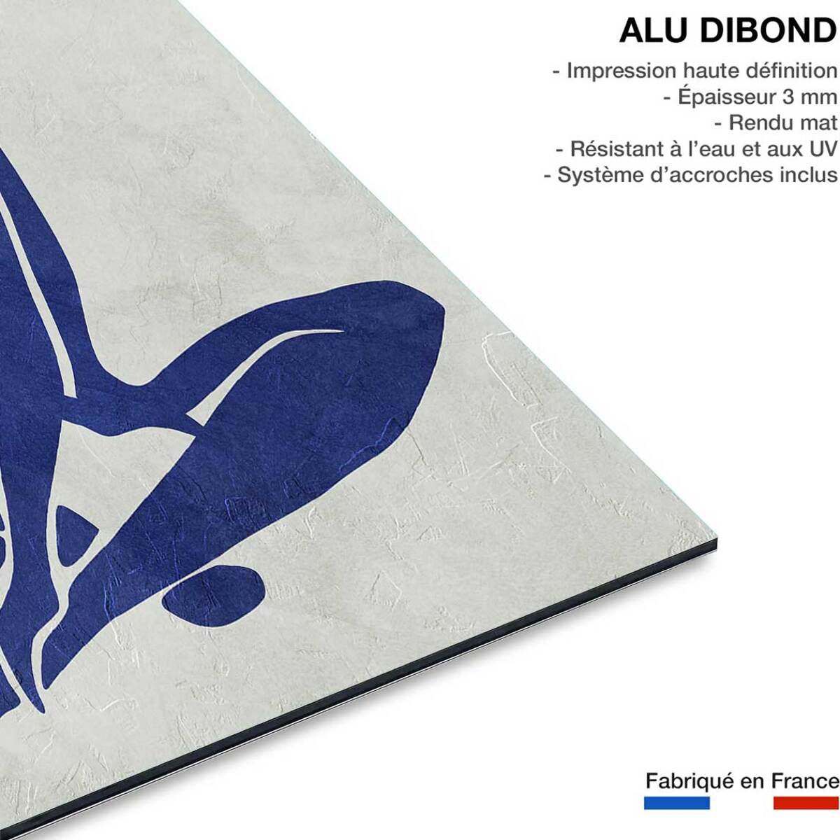 Tableau organique femme bleue  Tableau alu Dibond