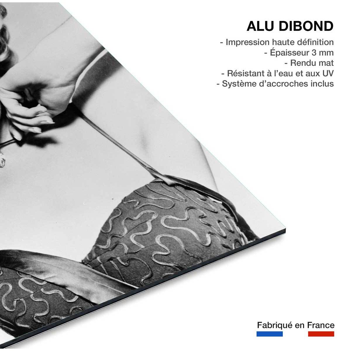 Tableau célébrité de Marilyn Monroe Tableau alu Dibond