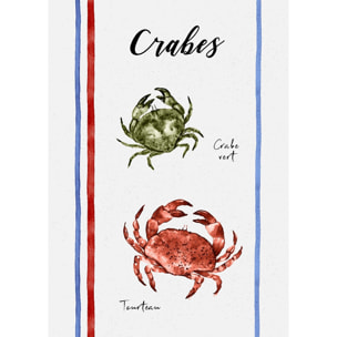 Lot de 3 torchons en coton lavé fruits de mer - Ecru