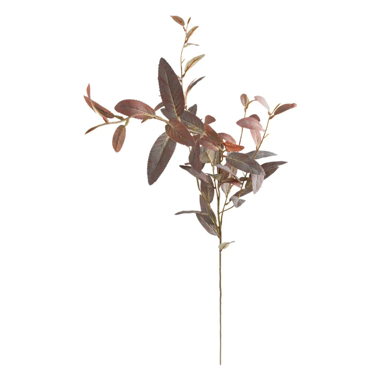 Tige d'eucalyptus artificielle James vert H103cm