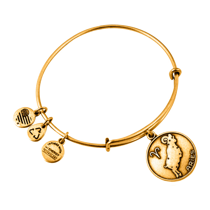 Pulsera Alex And Ani Mujer A13EB01ARRG