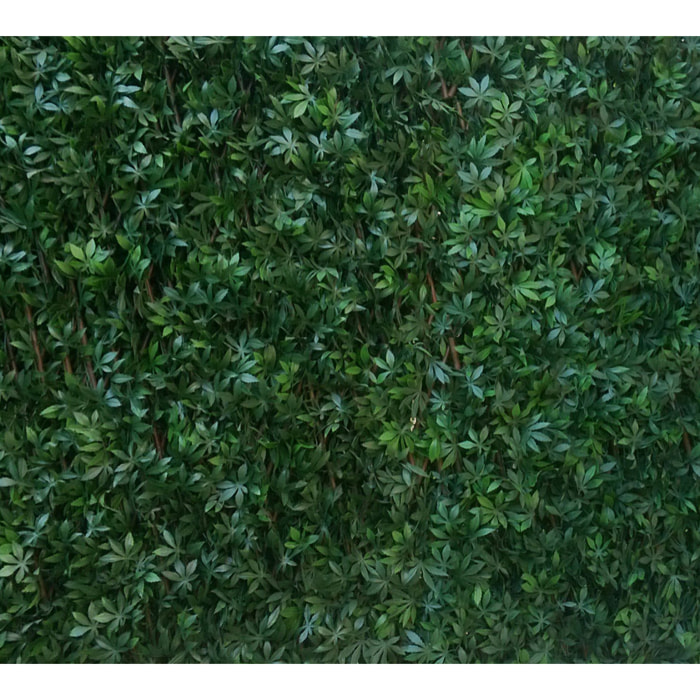 Treillis 'feuilles de vigne vertes' JET7GARDEN - Vert