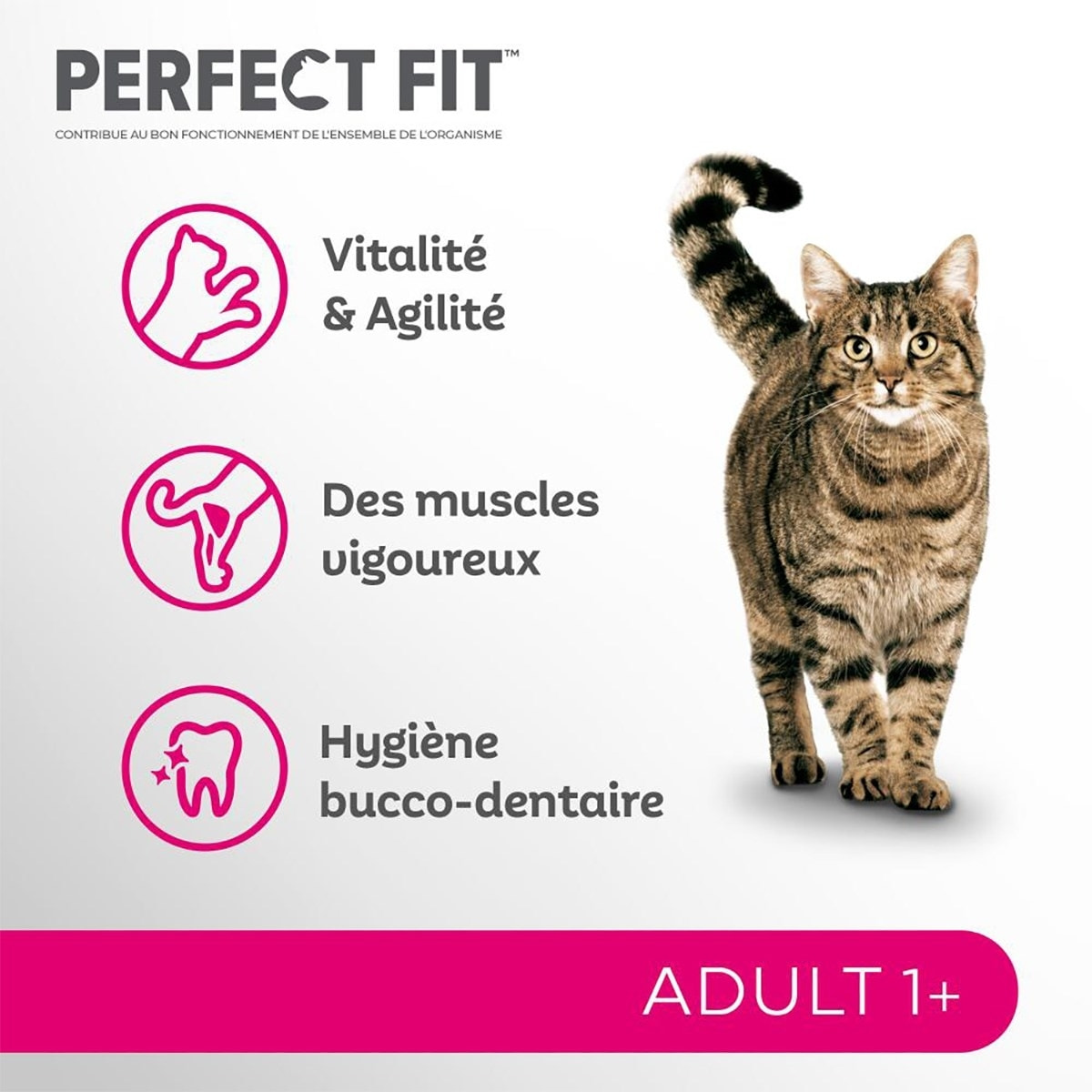 PERFECT FIT Croquettes Riche en Poulet chat adulte stérilisé 2,8kg