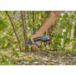 Sécateur sur batterie AssistCut - GARDENA - Diamètre maxi de coupe 25 mm - 12222-20