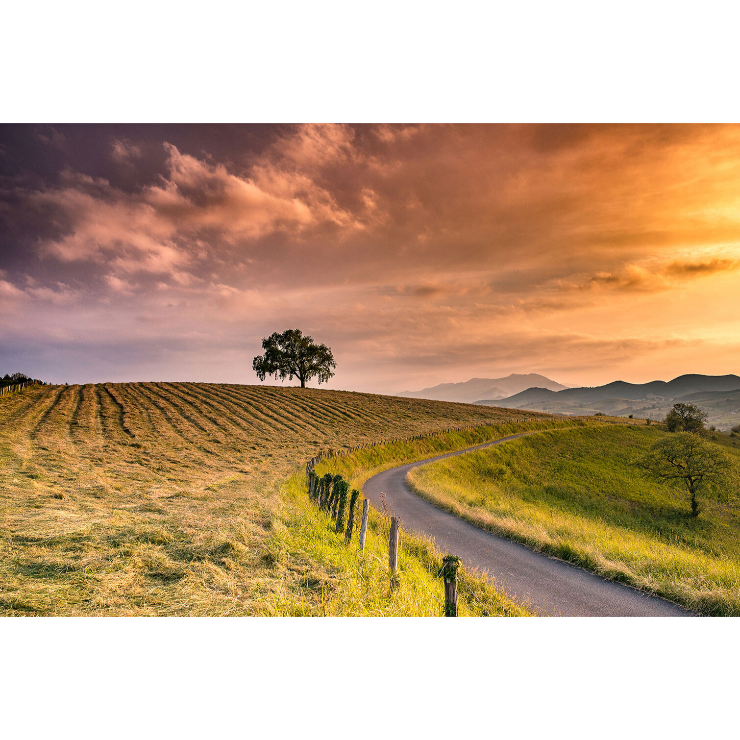 Tableau paysage nature chemin des basques  Tableau plexiglas
