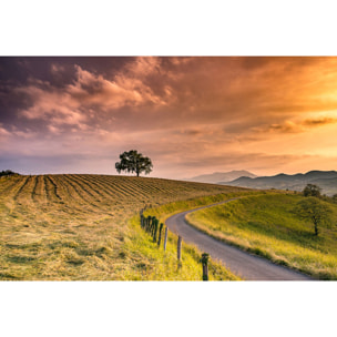 Tableau paysage nature chemin des basques  Tableau plexiglas