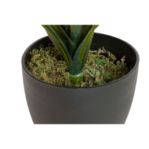 Planta Yucca Con Maceta 58x58x58 Cm