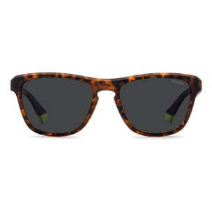 Gafas de sol Polaroid Hombre PLD-2168-S-B0Q