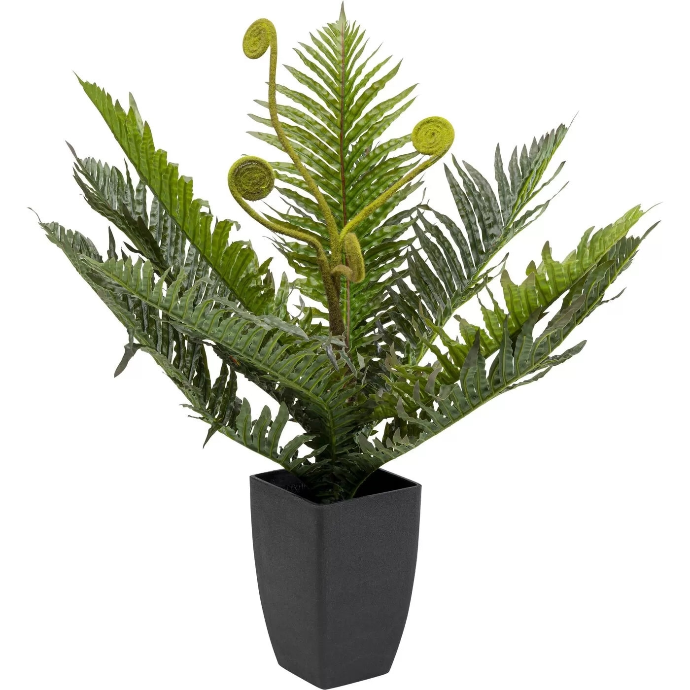 Plante décorative fougère 55cm Kare Design