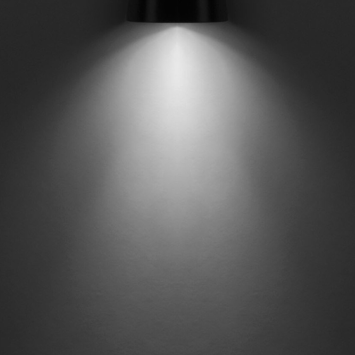 FORLIGHT Prisma - Aplique de Pared Exterior GU10 Luz Hacia Abajo para Jardín y Terraza IP65 de Color Negro