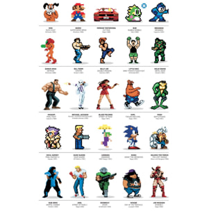 Affiche - Legendary 2D Videogame heroes - Olivier Bourdereau