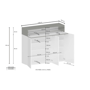 Scarpiera Dcanestrell, Porta scarpe salvaspazio a 4 ante, Armadio multifunzione da ingresso, 114x38h100 cm, Bianco e Rovere