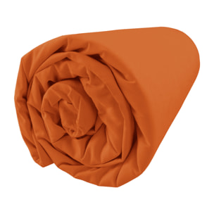 Drap housse percale coton, bonnet 37 - COMPLICITE
