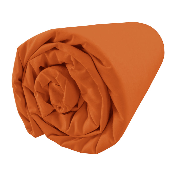 Drap housse percale coton, bonnet 37 - COMPLICITE