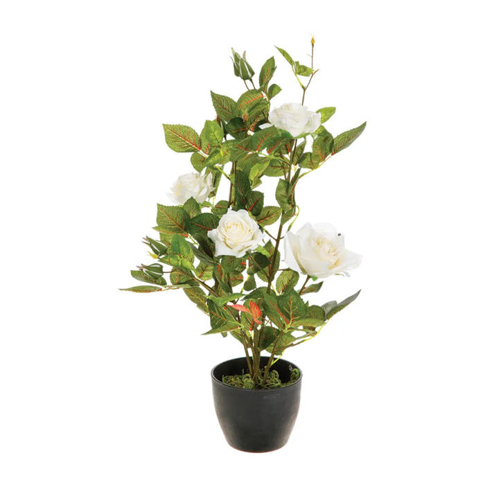 Rosier artificiel pot ciment H50cm